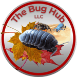 2021 The Bug Hub-modified